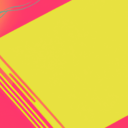 Essential Sign Language Words Everyone Should Know